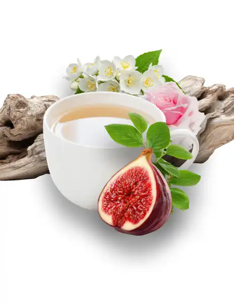 White Tea Fig Clean Fragrance - Clean Fragrances